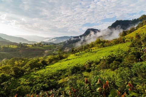 Manta Cacao, Coffee & Rainforest Experience: Private Shore Tou