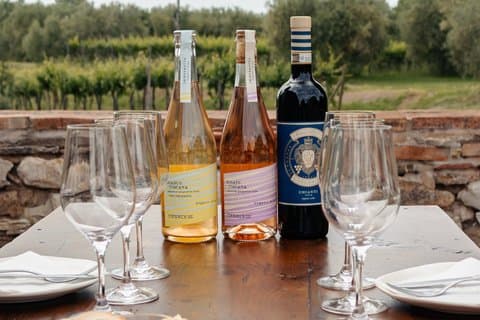 Tasting of 3 Organic Wines and Oil of Own Production