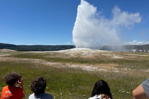 Old Faithful Yellowstone Half Day Express Tour