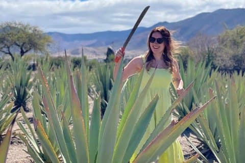 Interior de Oaxaca: Campos de Agave e Mezcal