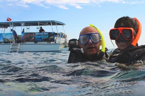 Tour de observação de golfinhos e snorkel em Key West