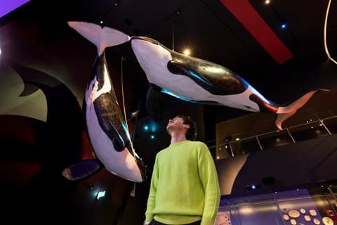 National Museum of Australia Daily Tours