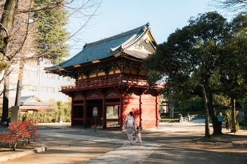 Tour guidato a piedi della vecchia Tokyo di Yanaka e del santuario di Nezu
