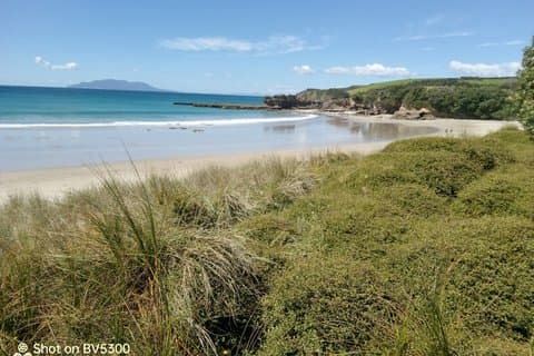 Auckland Regionale Natuurparken, Reservaten, Wandelingen en Volwassen Bos