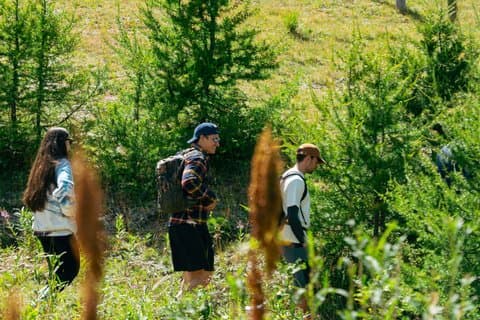 Beyond the Trail Trekking where the mountain comes to life