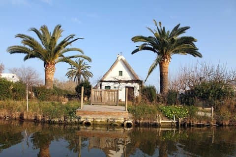 Valencia: Escursione all'Albufera con giro in barca e Montanejos