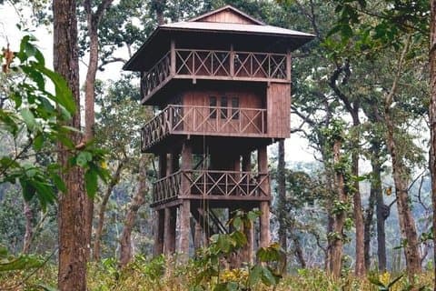 チトワン国立公園ジャングルタワーステイ付き