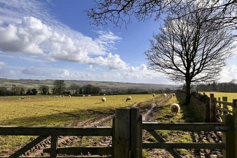Zweitägige private Cotswolds Tagestour ab London