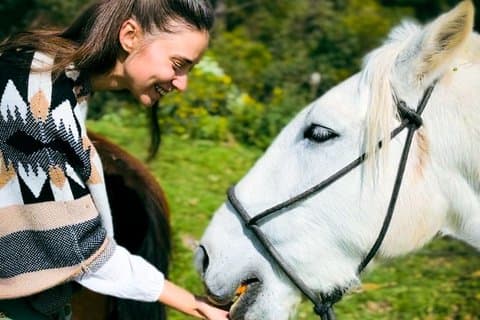 Anthropologist-ledet Horseback: Moon Temple & Mysticism (Max 5)