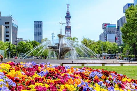 Sapporo Half-Day Historical Walking Tour with Masjid Visit