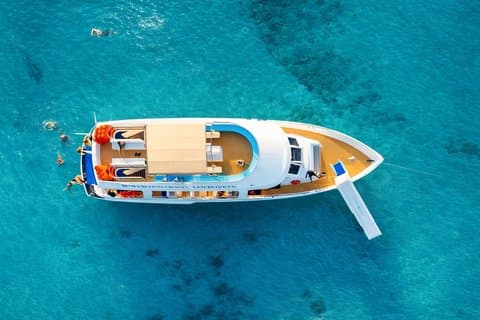 From Paphos: Blue Lagoon, Sea Caves & Aphrodite's Baths Day Trip