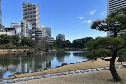 Jardins du patrimoine de Tokyo : Du Shogunat au Japon moderne
