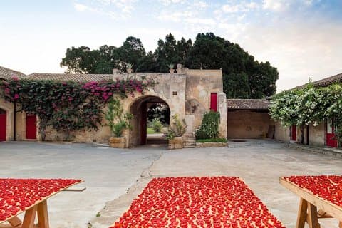 Noto Baroque and Tasting in Ancient Palmento among Vineyards