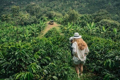 Private Tour to Jardín Town, Waterfalls, Coffee & Culture!