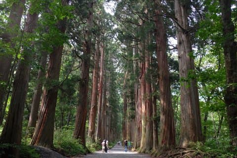 Nagano Privé autotour met Togakushi Soba-ervaring