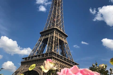 Crash Course to Paris : Una guía de supervivencia para visitantes primerizos