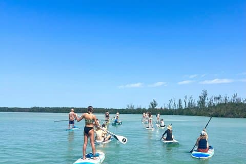 Excursão Mangroves & Midnight Pass Beach Kayak