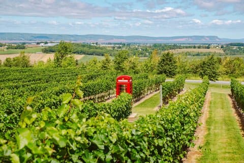 Annapolis Valley Experience Tour de um dia inteiro em grupo pequeno