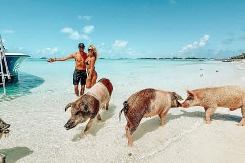Exuma Full Day Swimming Pigs Group Boat Tour