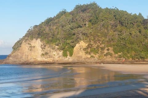 Explore North of Auckland, twin coast highway 4-5 Day active Tour