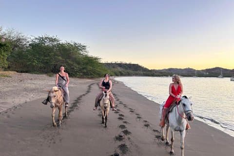 Privat ridetur i Costa Rica - jungle og strand