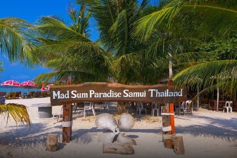 Koh Madsum Pig island et Koh Tan Excursion d'une demi-journée en Speed boat