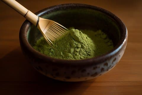 Sapporo Urban Safari Mystical Forest Refined History Tea Ceremony