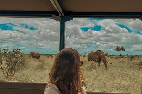 4 Tage Krüger Nationalpark All Inclusive Safari ab Johannesburg