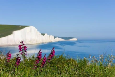 London Seven Sisters e excursão de um dia em Brighton
