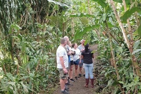 Guanacaste Wonders Sloths Vandfald og kaffe