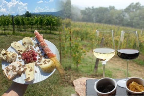 Truffle and Wine Aperitif Privat