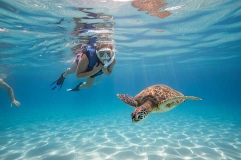 サンファンのカメ観察シュノーケル アドベンチャー（ビデオ付き）