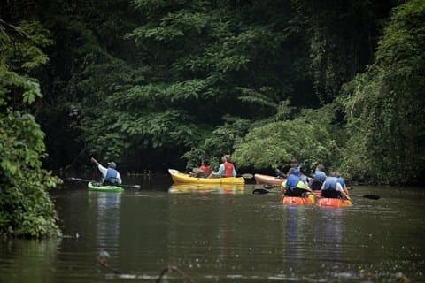 Kajaktur i kanalerne i Tortuguero med turistguide