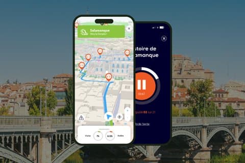 Salamanca: visita guidata a piedi (1 ora e 20 minuti, 21 commenti)