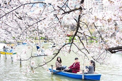 Ueno Park und Ameyoko Street Food Market Halbtagestour