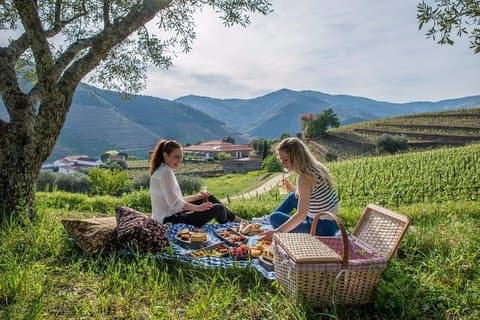 Private Douro Valley Tour from Porto