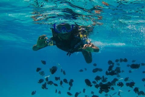 Tirana & Durres: Sazan Island, Cave & Karaburun Speedboat Trip
