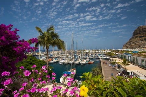 Medio día Puerto de Mogán Viernes Mercado y experiencia de compra