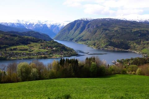 Private Shore Tour: Ulvik Nature Walk & Osa Fjord Viewpoint