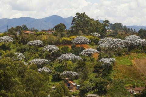 Visite des villes de l'Est d'Antioquia | Medellín