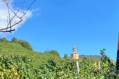 Private Prosecco Hills Scenic Tour 4 hours
