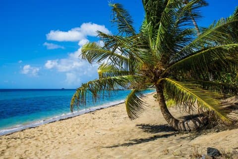 St. Kitts fotografiske tur med foto forsikring