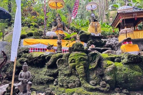 Limpeza Espiritual: Waterfall, Sanctuary Monkey, Lago, & Cura