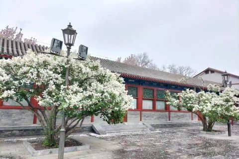 Beijing Tiananmen Square Forbidden City and Great Wall Tour