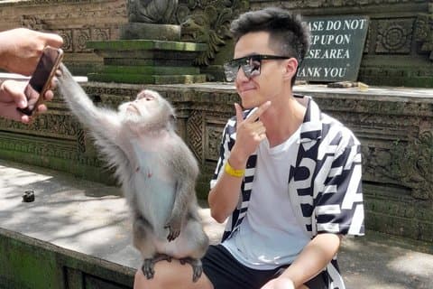 Private Ubud Tour Monkey Forest, Rice Terraces, and Temples
