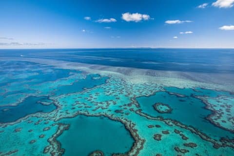 Experiencia de 2 días en la Gran Barrera de Coral "PREMIUM Reefsleep"