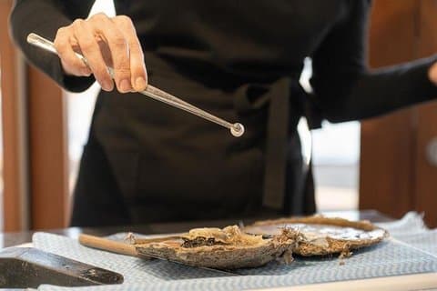 Harvest Your Own Pearl Private Experience Subiaco