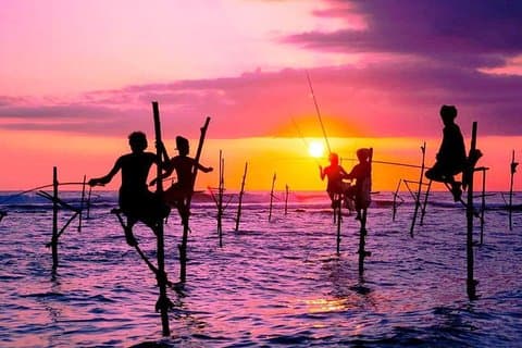 Private Galle Day Tour with Stilt Fishing Experience/Local Guide