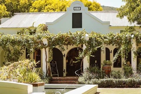 Big 5 Safari Cape Town & Wine Tasting
