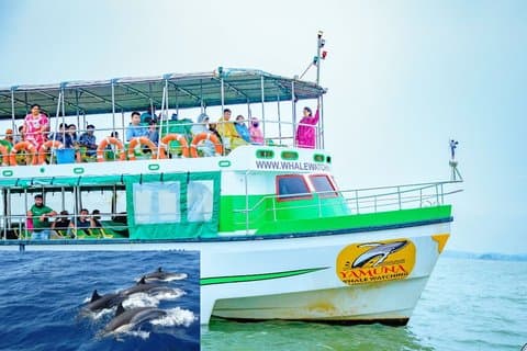 Fra Galle / Unawatua: All-Inclusive hval og delfin observasjon tur